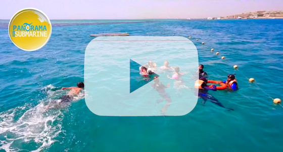 Semi-Submarine Sea Trips with Snorkeling