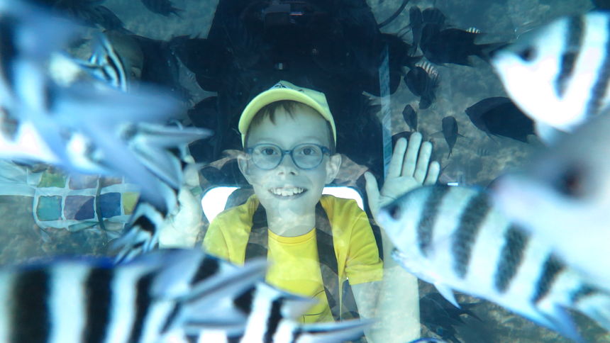 panorama submarines underwater experience 0057 1