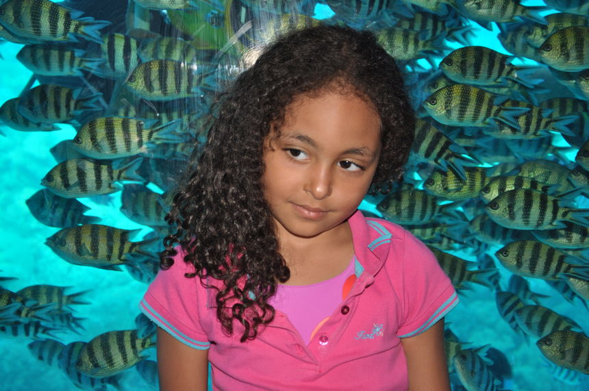 panorama submarines underwater experience 0064 1